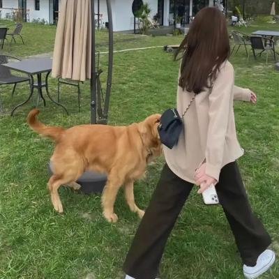 跟我的前妻谈恋爱